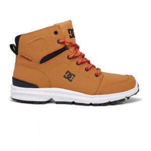 DC Shoes Torstein Miesten Saappaat Ruskea Mustat | LDFT-34807