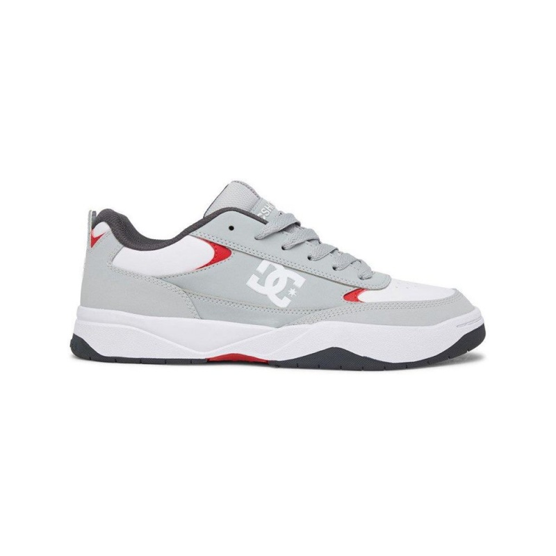 DC Shoes Penza Miesten Tennarit Harmaat Valkoinen | ELDZ-46291